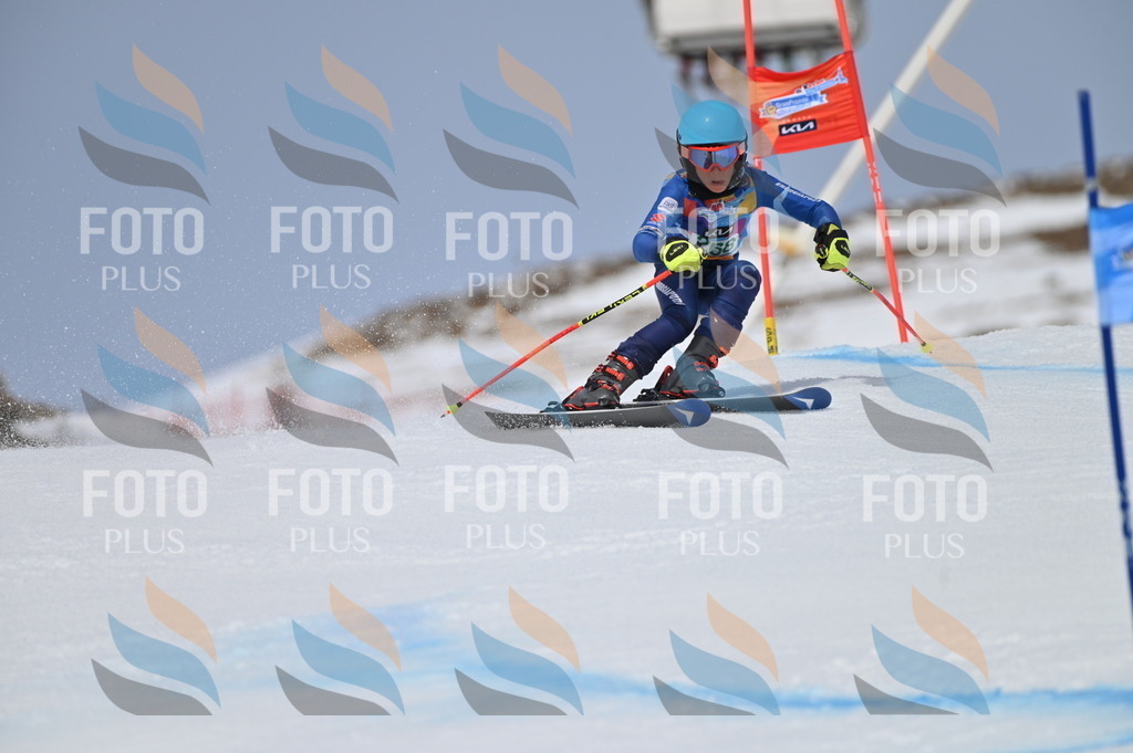 BGV_5301 | holidayphoto