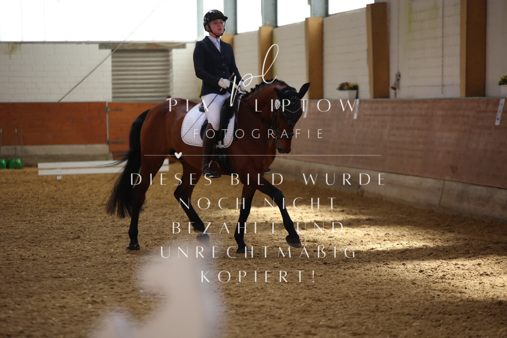 IMGT4313 | pl-fotografie