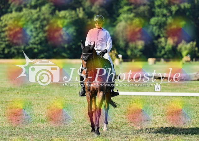 20260628_14a_VA_Dressur-52 | JS-Photostyle - Sport-/Portrait- & Eventfotografie