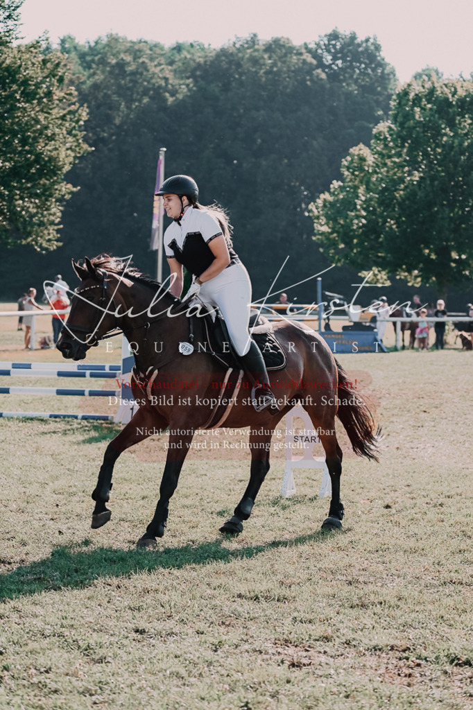 DSC_4606 | Pferde- und Turnierfotografie in Westsachsen. Pferdeportraits, Auftragszeichnungen und intuitive Kunst.
