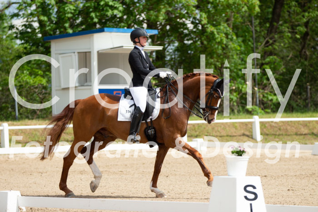 IMG_6425 | Creatify Fotografie