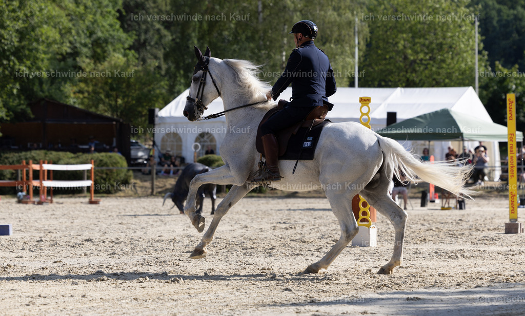 WS_SPEED_26_KerstinBernhardt49-6 | working equitationturnier fotograf videograf stoibphotography marixx film working equitation deutschland reitsport turnierfotografie eventfotografie equestrian events