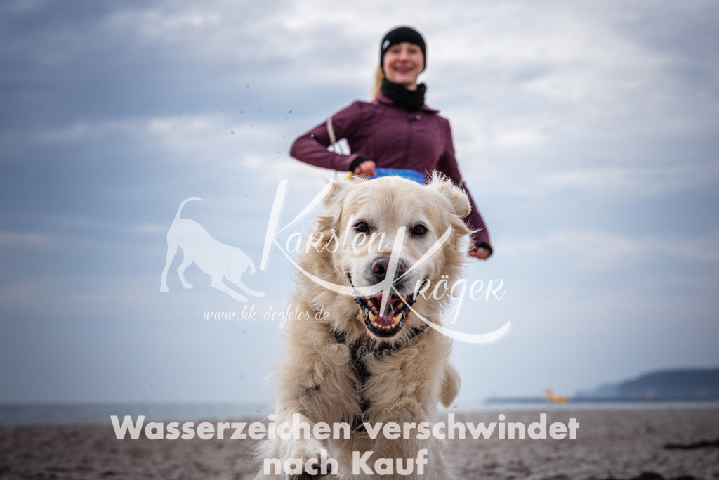 1153_ZZ91271 | kk-dogfotos