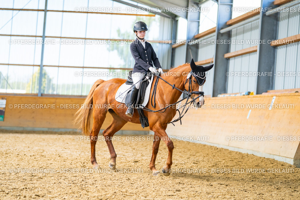 DSC09445 | Pferdegrafie