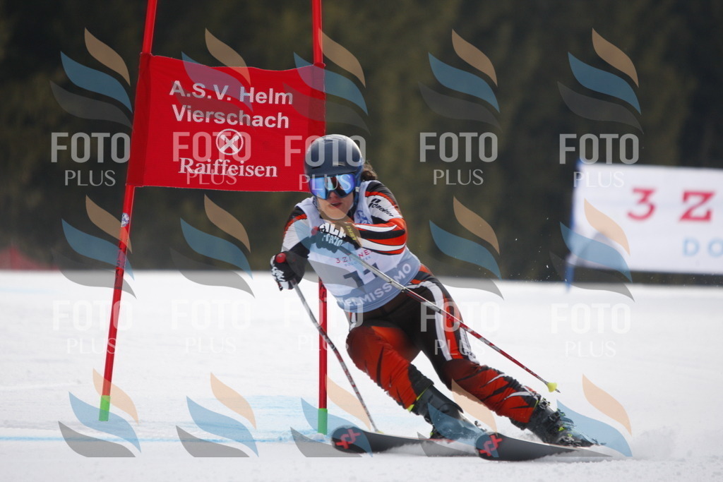 D4730 | holidayphoto