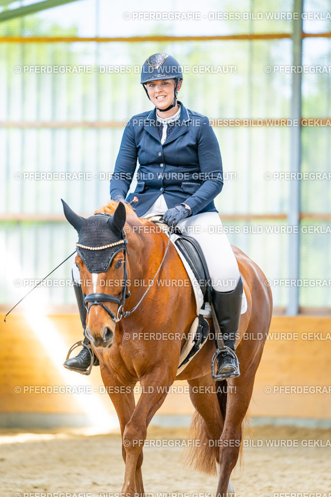 DSC07576 | Pferdegrafie