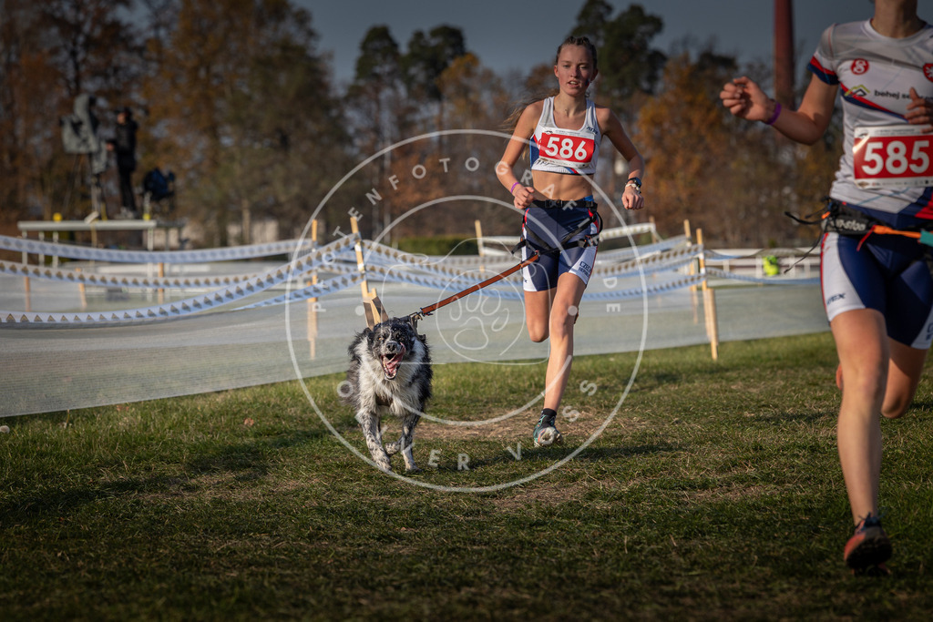 CaniXpix_0L8A9800 | Hundefotografie, Tierfotograf, Pfotenfotografie, Fotoshooting Hund, Hunde Portrait, Hundesport, Hundeportraits, Heideshooting, Hunde, Sportfotograf, Hundefotograf, Turnierhundsport, THS,  - Realisiert mit Pictrs.com