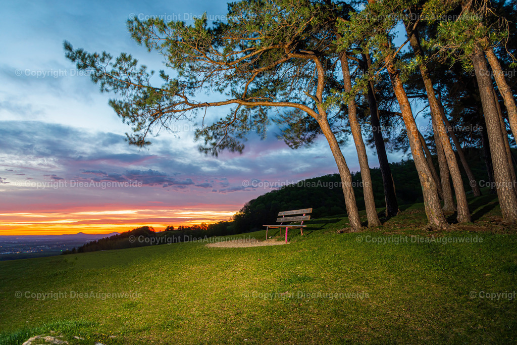 Image_20210510--6 | DieAugenweide Galerie, Bilder von Fotograf Ralf-Udo Thiele. Auswählen und bestellen auf verschiedenen Materialien und Größen. - Realisiert mit Pictrs.com