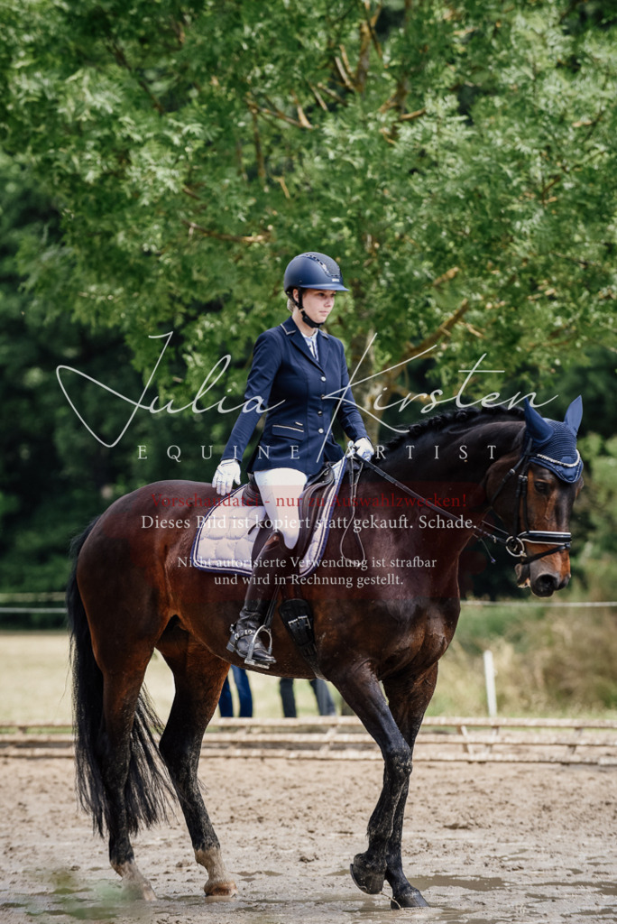 DSC_1445 | Pferde- und Turnierfotografie in Westsachsen. Pferdeportraits, Auftragszeichnungen und intuitive Kunst.