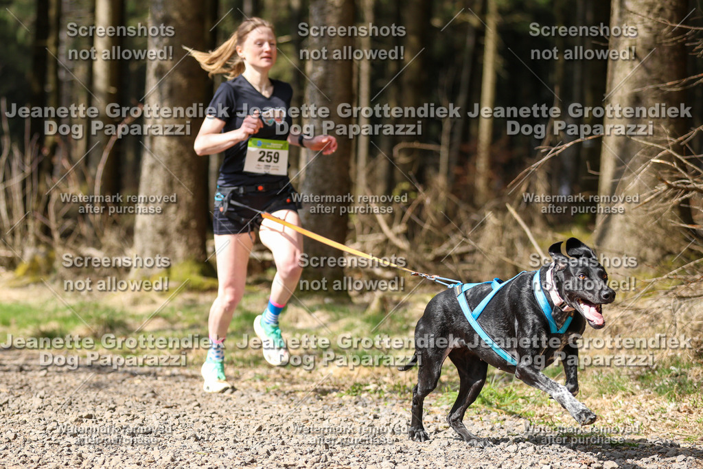 Dog Paparazzi - VCC26-361 | Dog Paparazzi Jeanette Grottendiek Fotografie & Videografie - Realisiert mit Pictrs.com