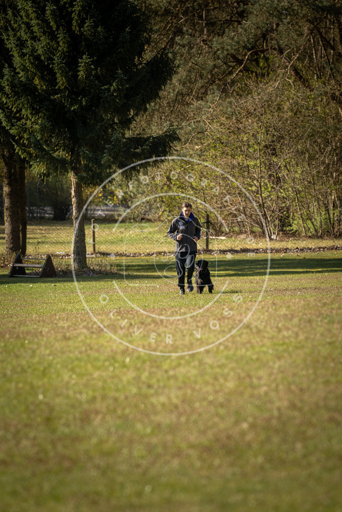 Pfotenfotografie_DV3A0130 | Hundefotografie, Tierfotograf, Pfotenfotografie, Fotoshooting Hund, Hunde Portrait, Hundesport, Hundeportraits, Heideshooting, Hunde, Sportfotograf, Hundefotograf, Turnierhundsport, THS,  - Realisiert mit Pictrs.com