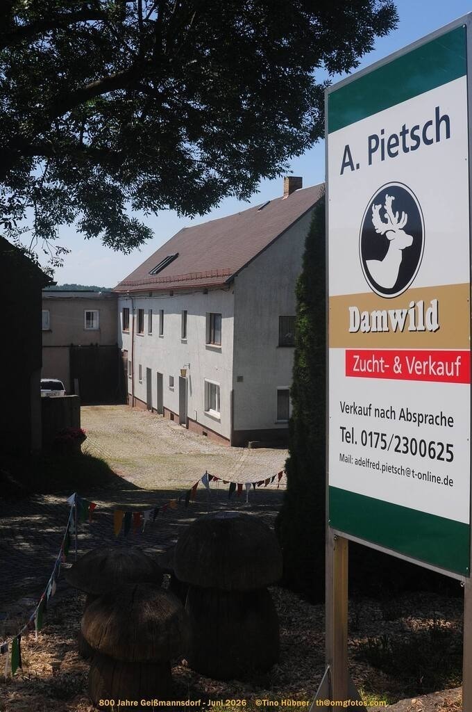 Geißmannsdorf-2026-Ortsbilder-313 | Geißmannsdorf bei Bischofswerda im Sommer 2026. Ein fotografischer Streifzug durch das Dorf Geißmannsdorf, mit Gebäuden, Straßen, Strohpuppen und geschmückten Vorgärten und Grundstücken anlässlich der 800-Jahr-Feier von Geißmannsdorf im Juni 2026 - Realisiert mit Pictrs.com