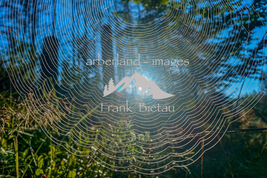 IMG_7509 | Herbstliche Imperessionen aus dem Nationalpark