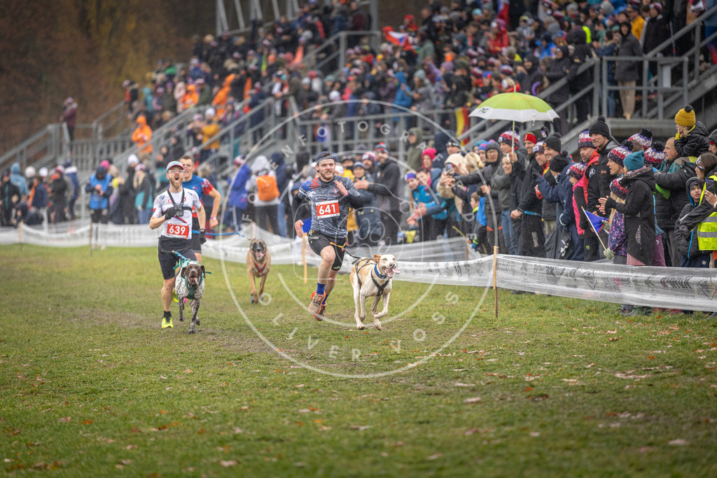 CaniXpix_DV3A9776 | Hundefotografie, Tierfotograf, Pfotenfotografie, Fotoshooting Hund, Hunde Portrait, Hundesport, Hundeportraits, Heideshooting, Hunde, Sportfotograf, Hundefotograf, Turnierhundsport, THS,  - Realisiert mit Pictrs.com