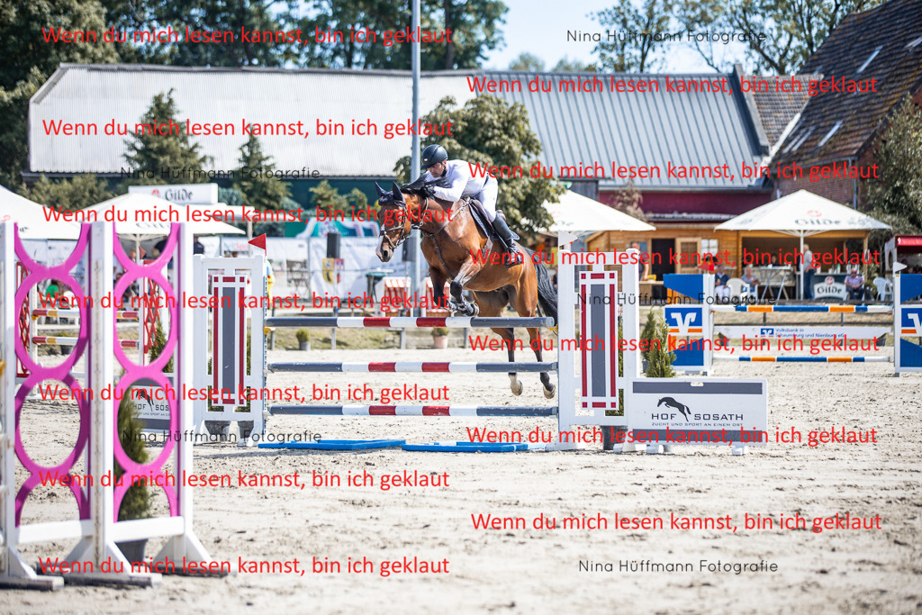 BK1A6523 | Turnierbilder Turnierfotos Nina Hüffmann Turnierfotografie Pferdefotografie Tierzeichnung Haustierzeichnung Pferdezeichnung Hundezeichnung Videograf  - Realisiert mit Pictrs.com
