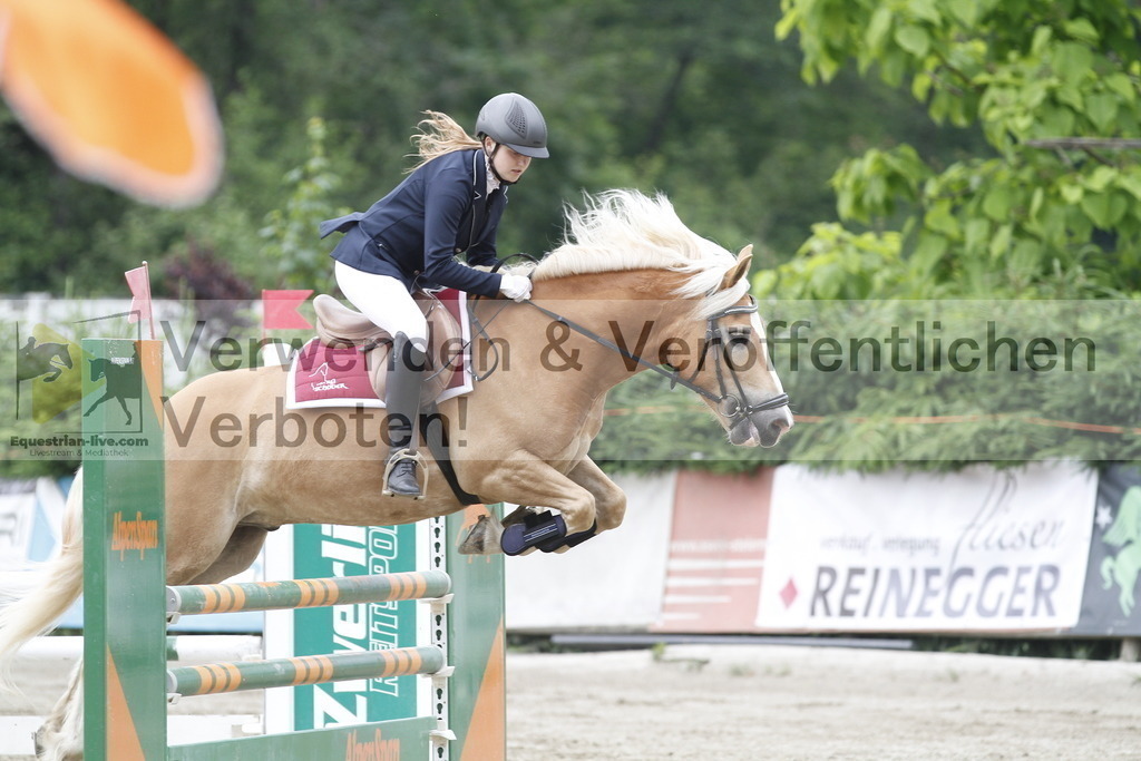 _MG_6369 | equestrian-live-com