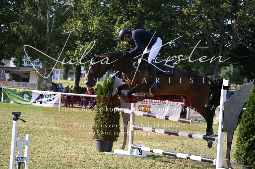 DSC_1660 | Pferde- und Turnierfotografie in Westsachsen. Pferdeportraits, Auftragszeichnungen und intuitive Kunst.