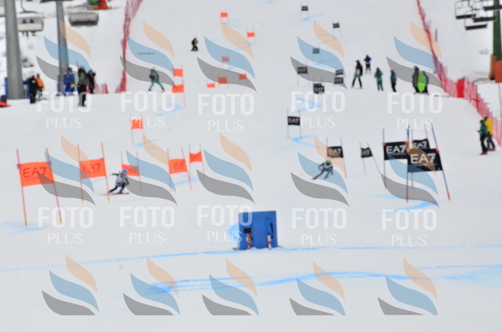 _ELE3658 | holidayphoto