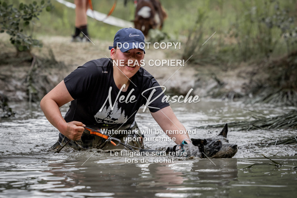 nelerasche_so0800-0930_536 | nelerasche