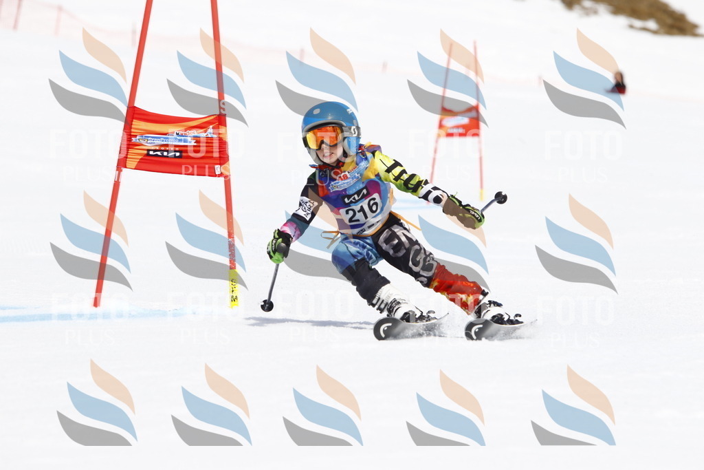 _U3G5578 | holidayphoto