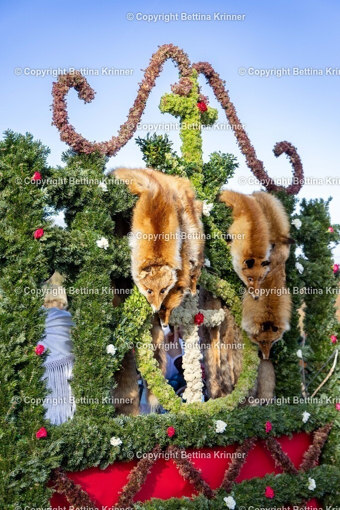 LBT24-1018 | foto-bettina-krinner - Realisiert mit Pictrs.com