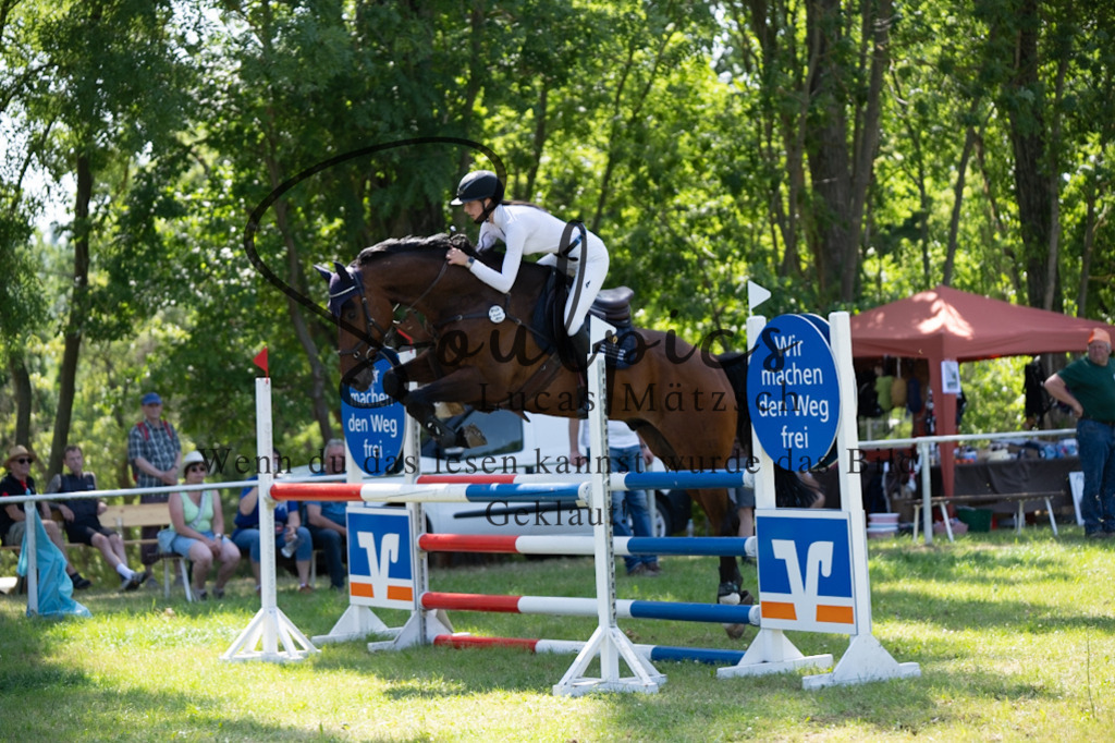 A7V06398 | Pferdefotograf