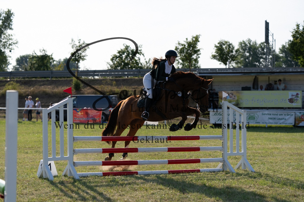 A7V00842 | Pferdefotograf