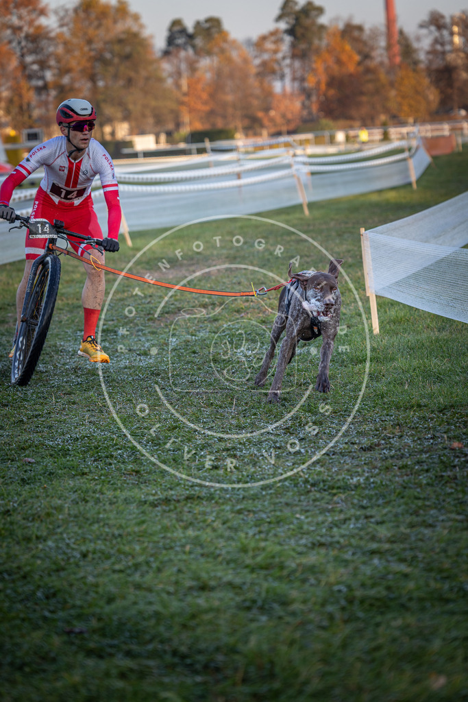 CaniXpix_0L8A1475 | Hundefotografie, Tierfotograf, Pfotenfotografie, Fotoshooting Hund, Hunde Portrait, Hundesport, Hundeportraits, Heideshooting, Hunde, Sportfotograf, Hundefotograf, Turnierhundsport, THS,  - Realisiert mit Pictrs.com