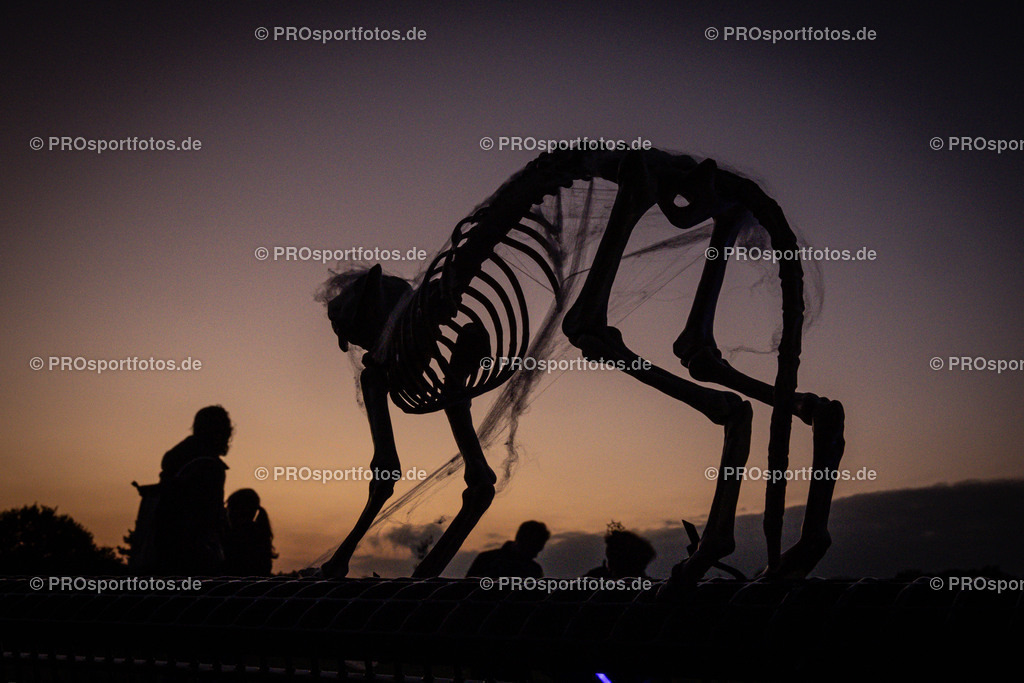 Halloween Run 2024 in Koeln, 31.10.2024 | Impressionen vom Halloween Run 2024 am 31.10.2024 in Koeln (Forstbotanischer Garten Rodenkirchen). Foto: BEAUTIFUL SPORTS/Axel Kohring
