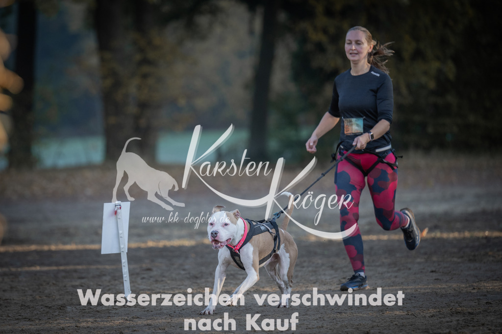 0932_ZZ93396 | kk-dogfotos