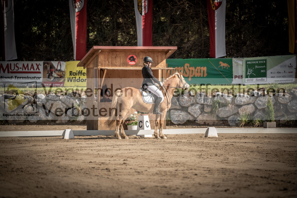 DSC_8676 | equestrian-live-com
