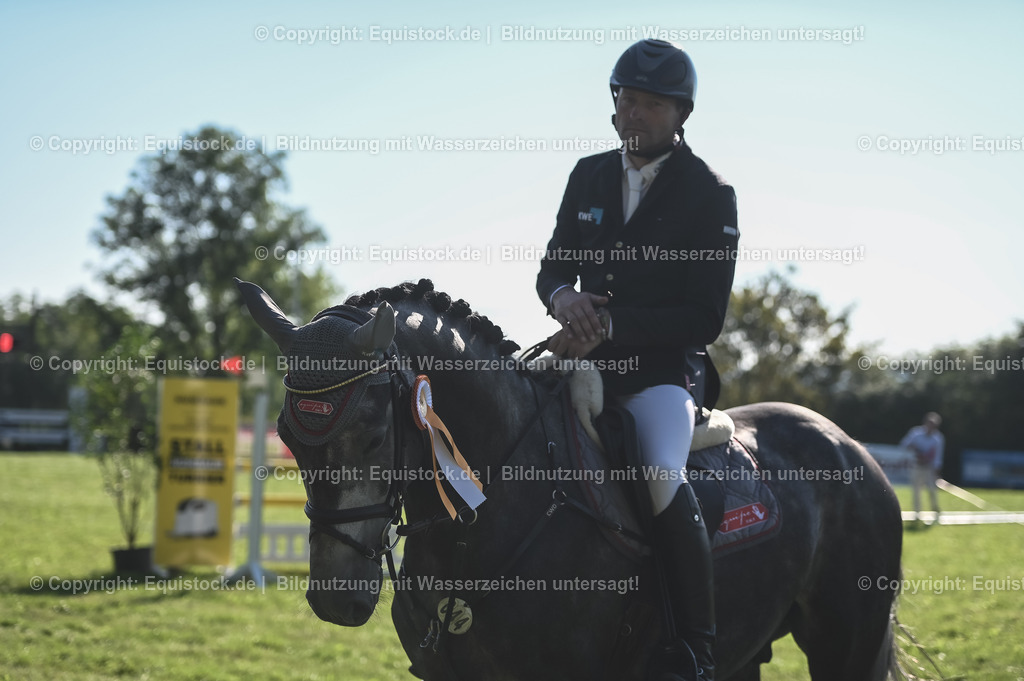 20230908_14-15_Springpferde-A_0129 | equistock
