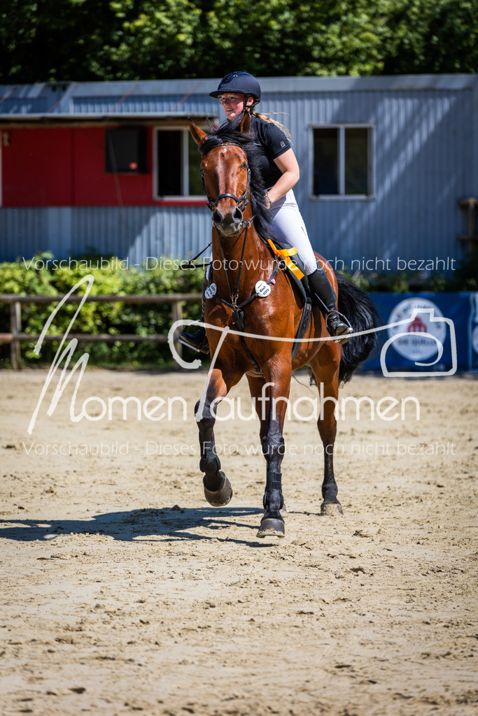 Donop24-L-Spr-059 | MomenTaufnahmen Pferdesportfotos