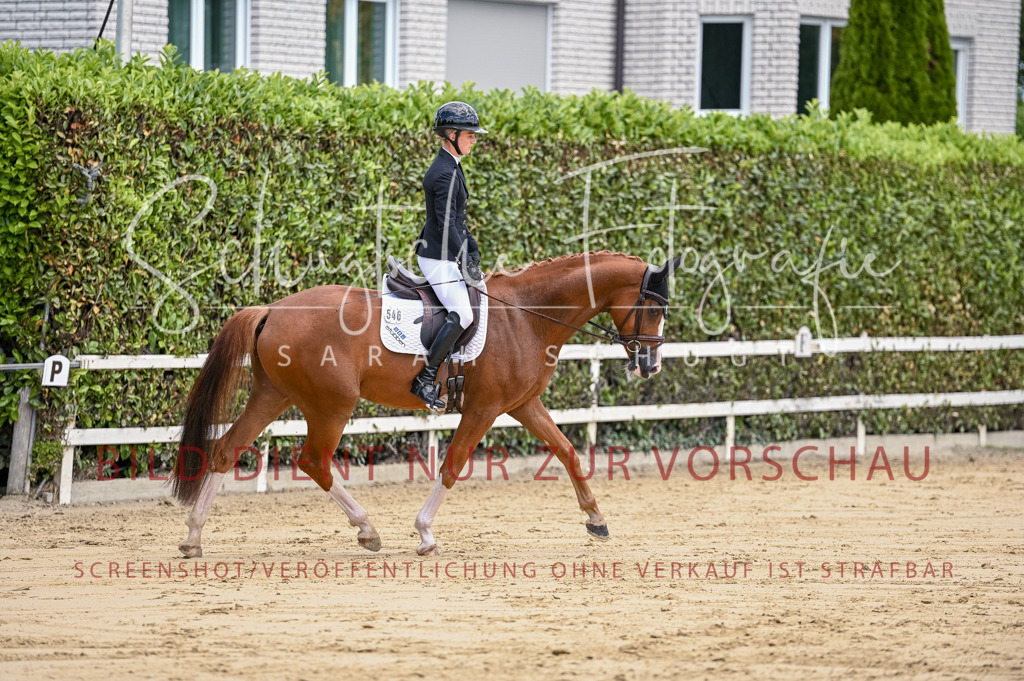 Schugtsche-Aluta25-48.Reitpferfdeprf.-165 | Schugtsche Fotografie - Realisiert mit Pictrs.com