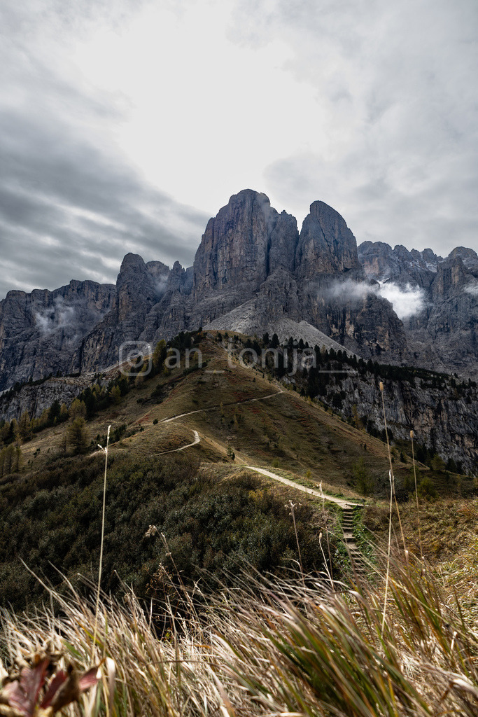 JB3A1875 | antonija-trupina - Realisiert mit Pictrs.com