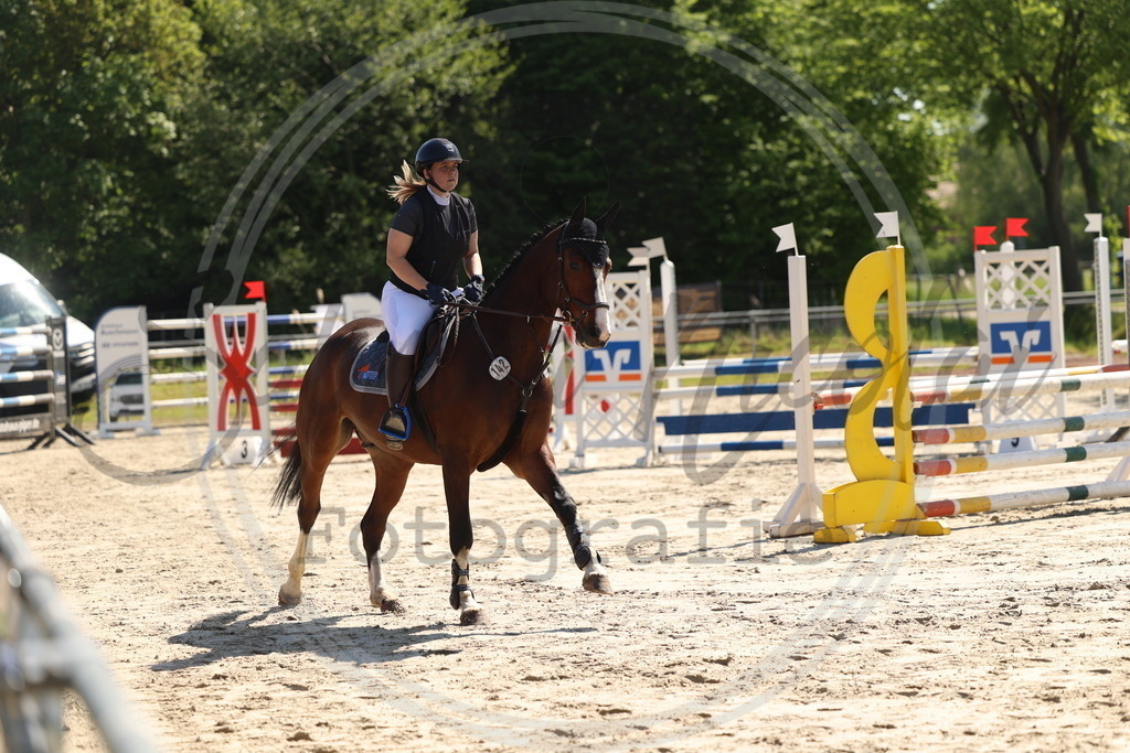 994A5595 | sabrinanicolaifotografie - Realisiert mit Pictrs.com