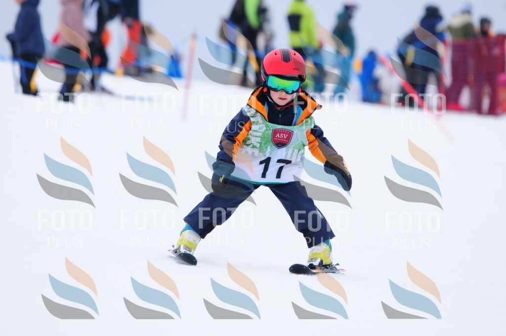 A3384 | holidayphoto