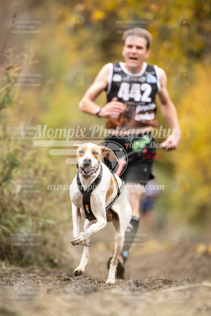 MompixPhotography_ICF_WC_2024_SA_Run_-442 | PayLife