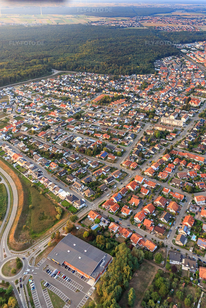 Luftbild: Buchstraße, Forstlandallee in Jockgrim im Bundesland Rheinland-Pfalz in Deutschland. Foto: IMG_110747.jpg vom 05.09.2018 durch Werner Riehm/FLY-FOTO.de