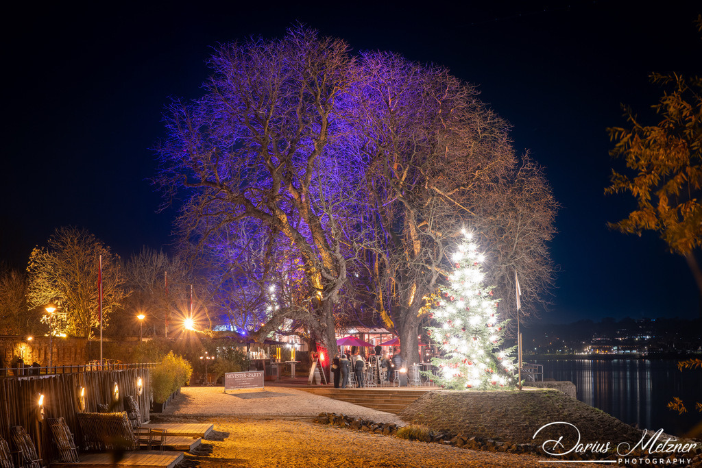 DSC_6784 | Fotografien, Fotos und Bilder aus Mainz, Frankfurt, Wiesbaden und anderen Orten auf der Welt - Fotografiert von Darius Metzner