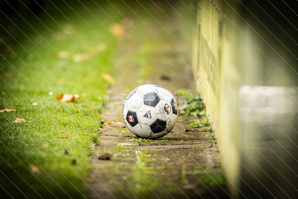 20251012_Picselweb-Fotografie_1R3_0315 | Dein Fotograf aus dem Landkreis Stade für Sport und Events - Realisiert mit Pictrs.com