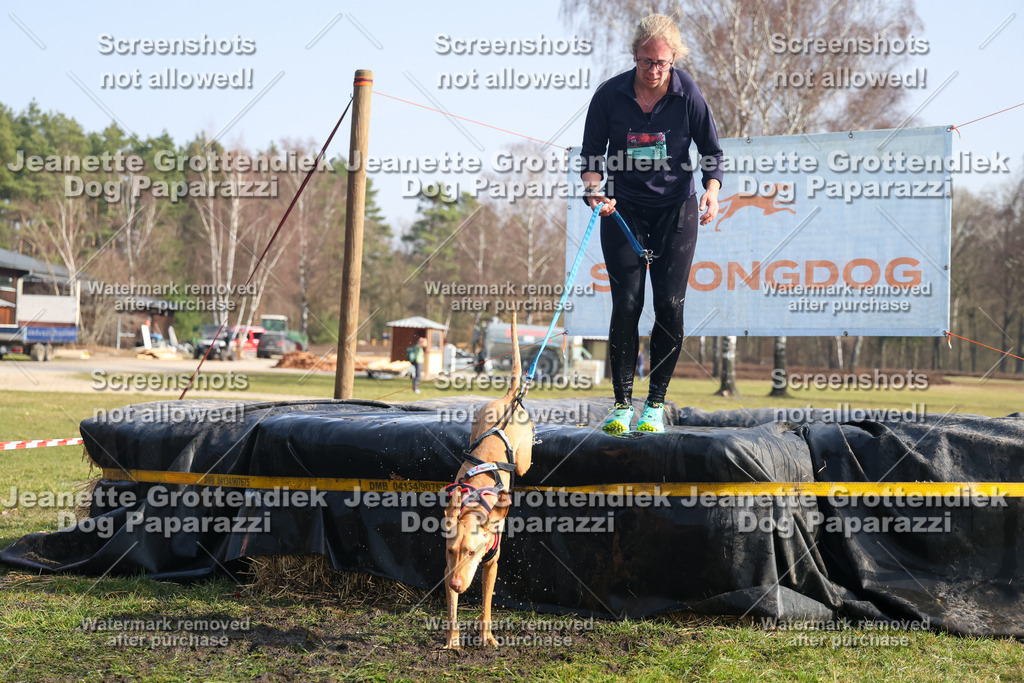 Dog Paparazzi - Strongdog North Mrz26-1715 | Dog Paparazzi Jeanette Grottendiek Fotografie & Videografie - Realisiert mit Pictrs.com