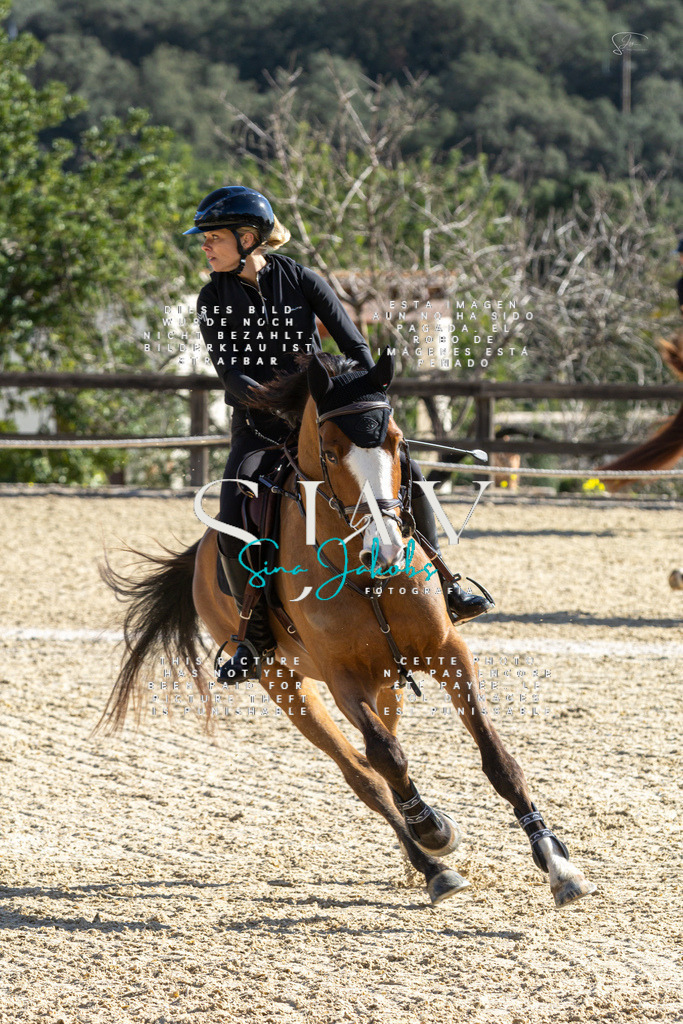 IMG_3860 | s-jay-photography - Realisiert mit Pictrs.com