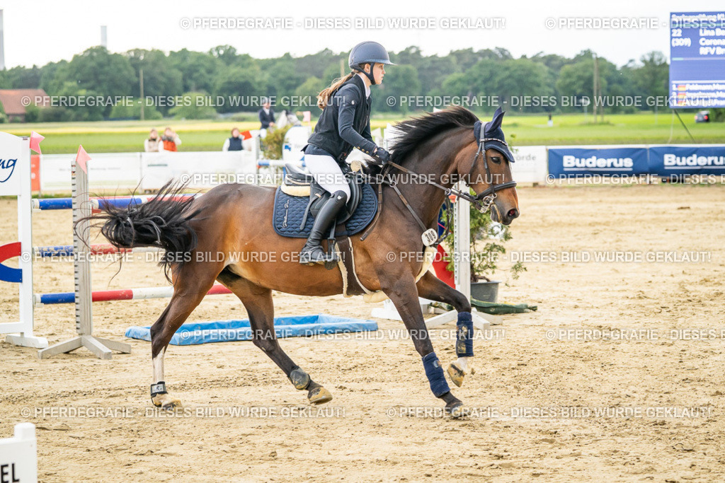 DSC06701 | Pferdegrafie