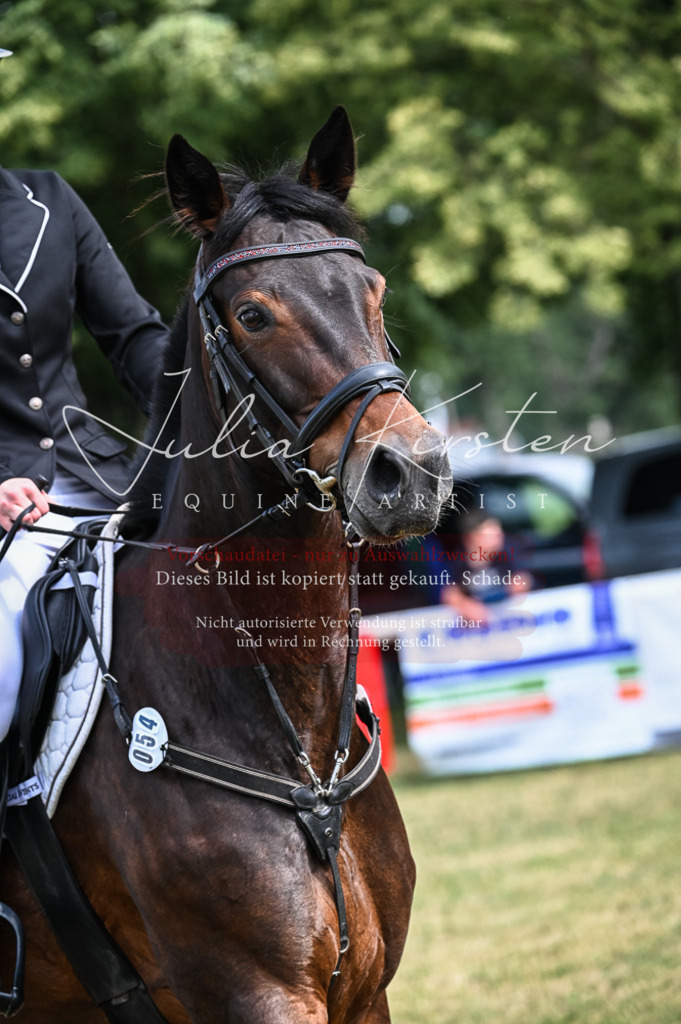 DSC_8429 | Pferde- und Turnierfotografie in Westsachsen. Pferdeportraits, Auftragszeichnungen und intuitive Kunst.