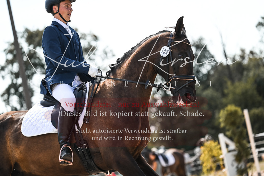 DSC_5449 | Pferde- und Turnierfotografie in Westsachsen. Pferdeportraits, Auftragszeichnungen und intuitive Kunst.