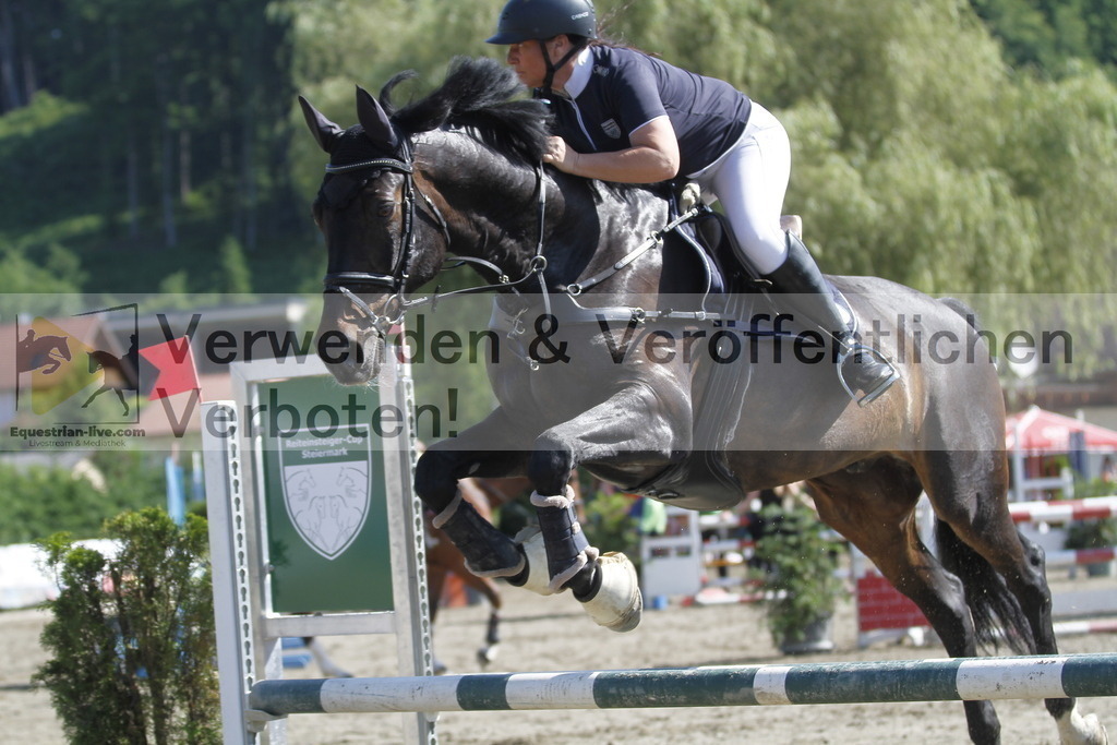 _MG_8403 | equestrian-live-com