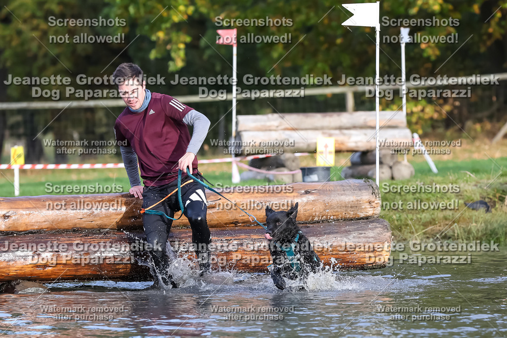 Dog Paparazzi - Strongdog 10-25-7071 | Dog Paparazzi Jeanette Grottendiek Fotografie & Videografie - Realisiert mit Pictrs.com