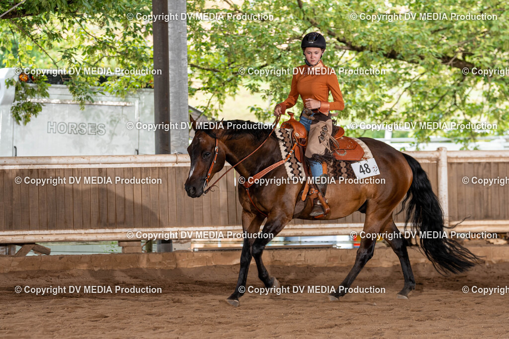 Erbach Tag 1-895 | dv-media-shop - Realisiert mit Pictrs.com