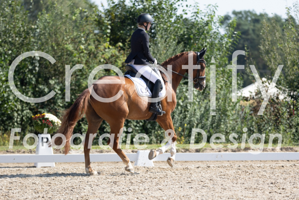 IMG_4372 | Creatify Fotografie